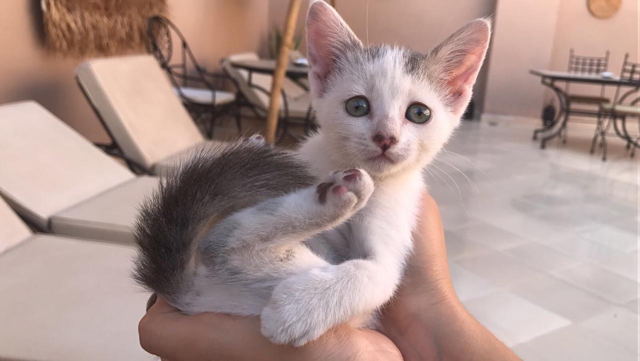Riad Dar Nossa Marrakesh Eksteriør billede